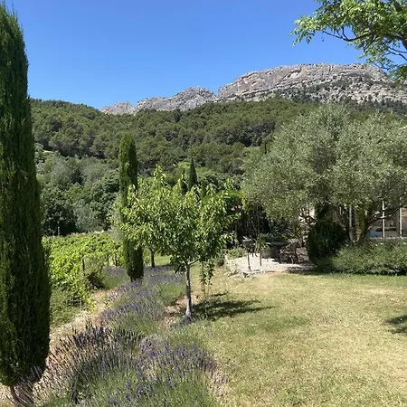 & Table D'hotes Au Soleil Du Bonheur Lafare
